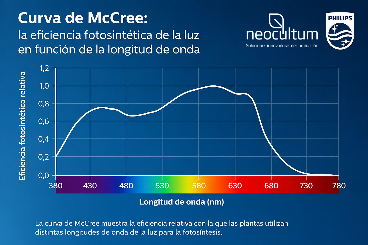 Gráfico de la Curva de McCree que muestra la eficiencia fotosintética de la luz en función de la longitud de onda para el cultivo de plantas