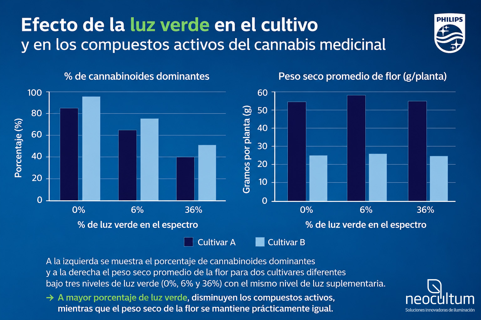 Gráfico que analiza el efecto de la luz verde sobre los cannabinoides y el peso seco de flores de cannabis medicinal