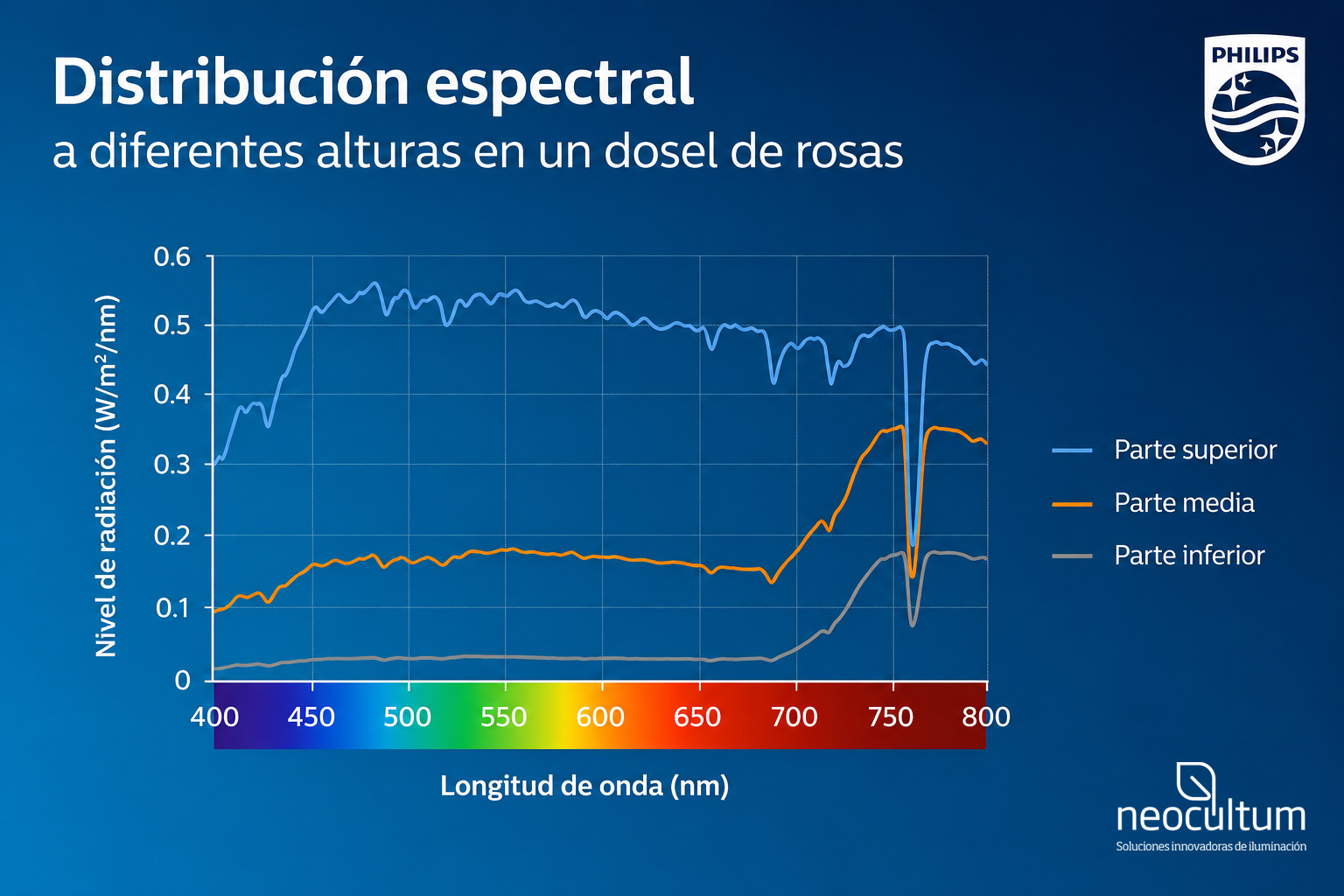 La luz medida a tres alturas diferentes en un dosel de rosas
