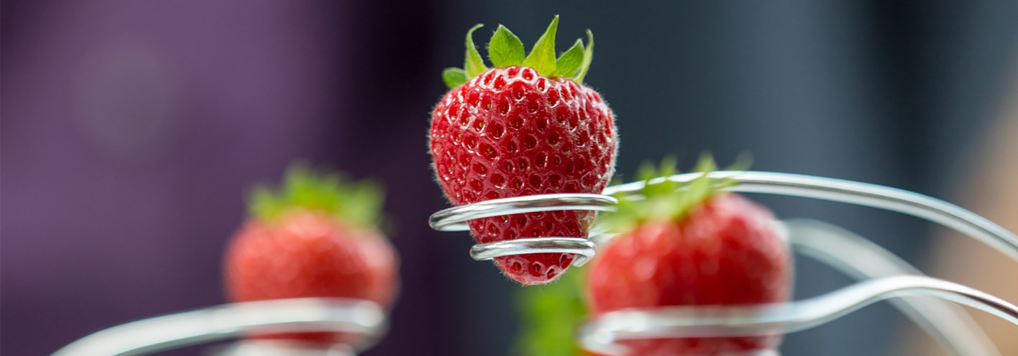Fresas dulces cultivadas en una granja vertical con iluminación LED