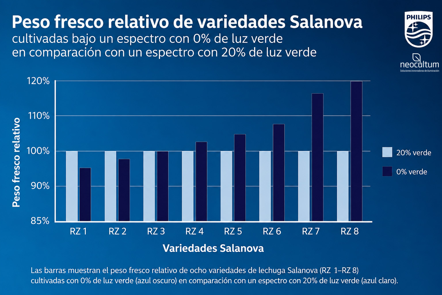 Comparativa del peso fresco de ocho variedades de lechuga Salanova cultivadas con 0 % y 20 % de luz verde