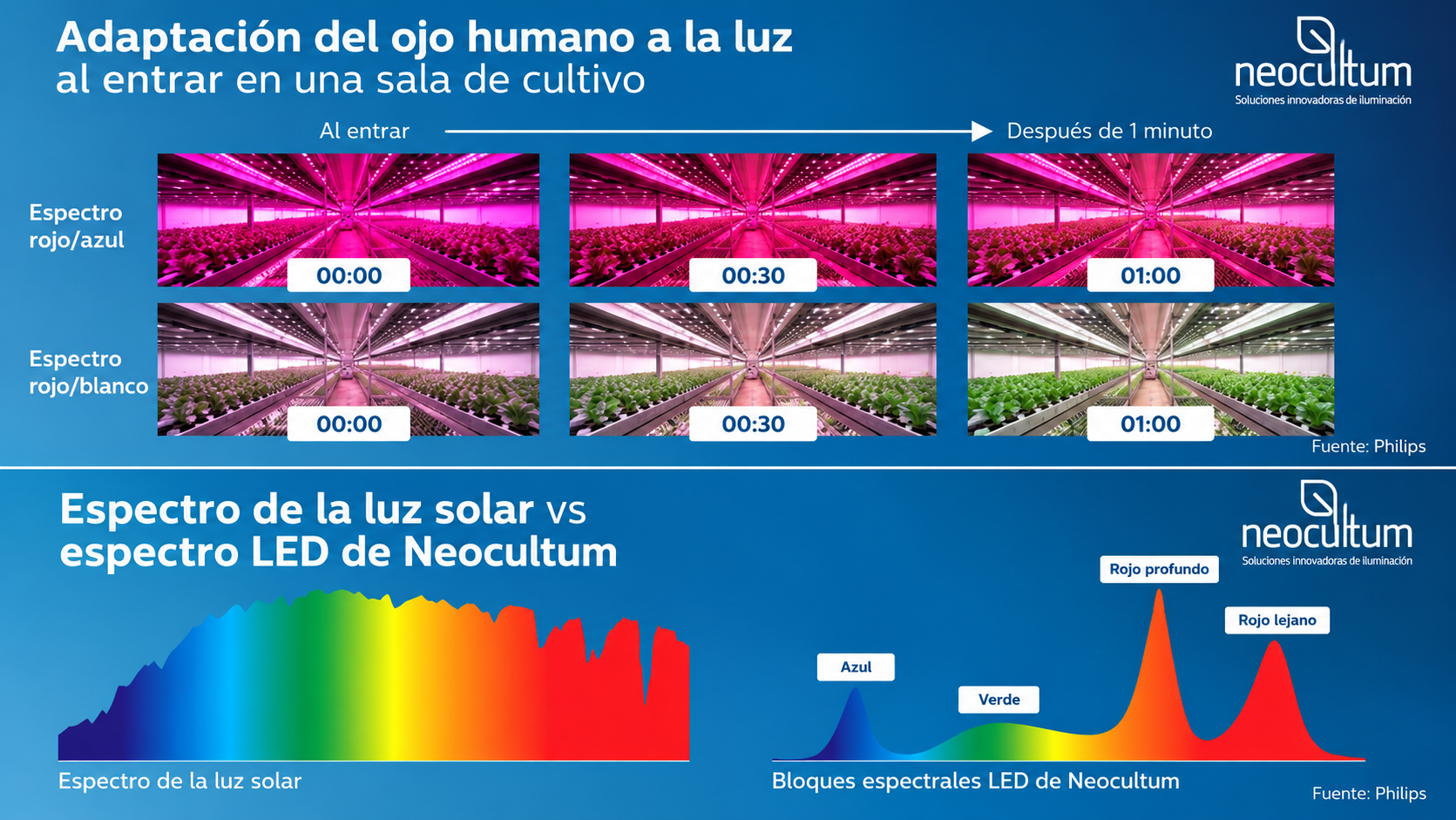 Comparativa del espectro de luz LED para cultivos y adaptación del ojo humano a la iluminación roja, azul y blanca